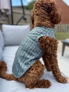 Sage Sprinkles Dog Cooling Vests