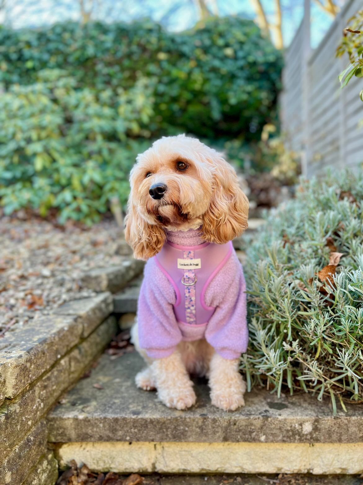 Lilac Dog roll neck sherpa jumper with zip