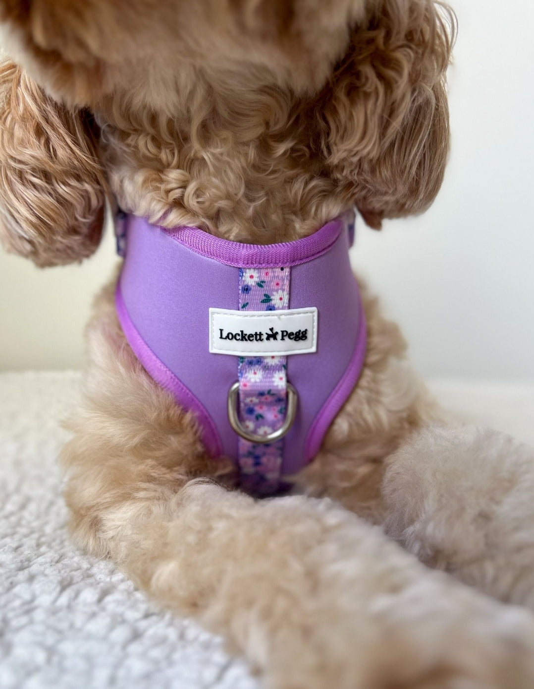Lilac Ditsy Daisy adjustable Harness