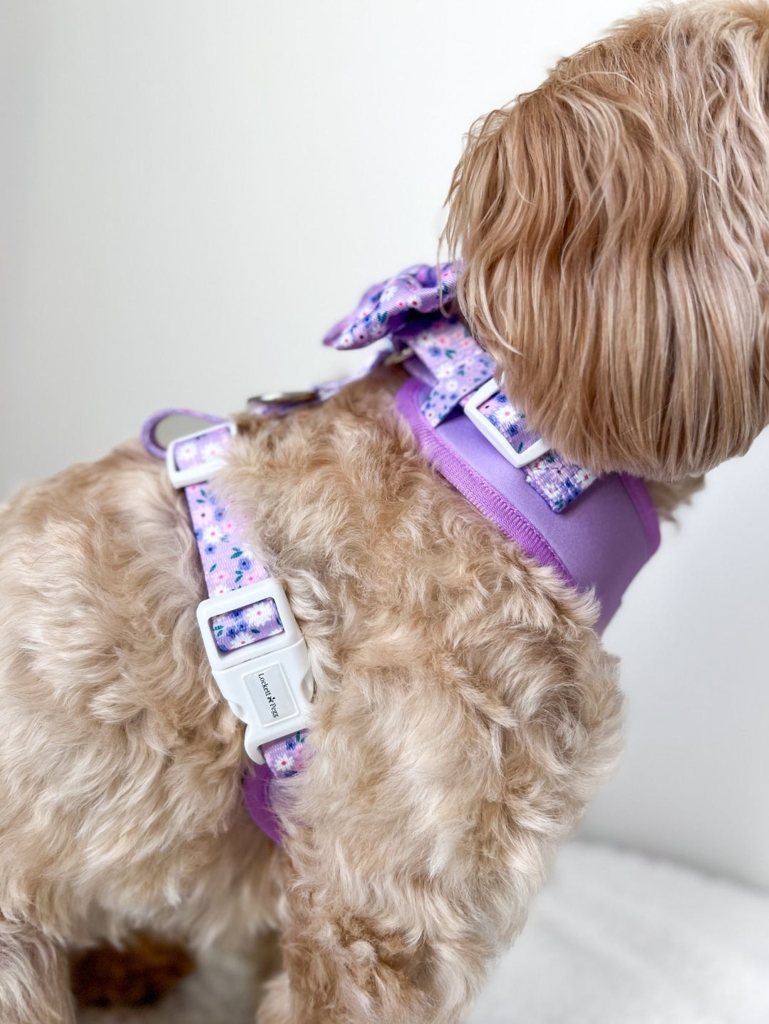 Lilac Ditsy Daisy adjustable Harness