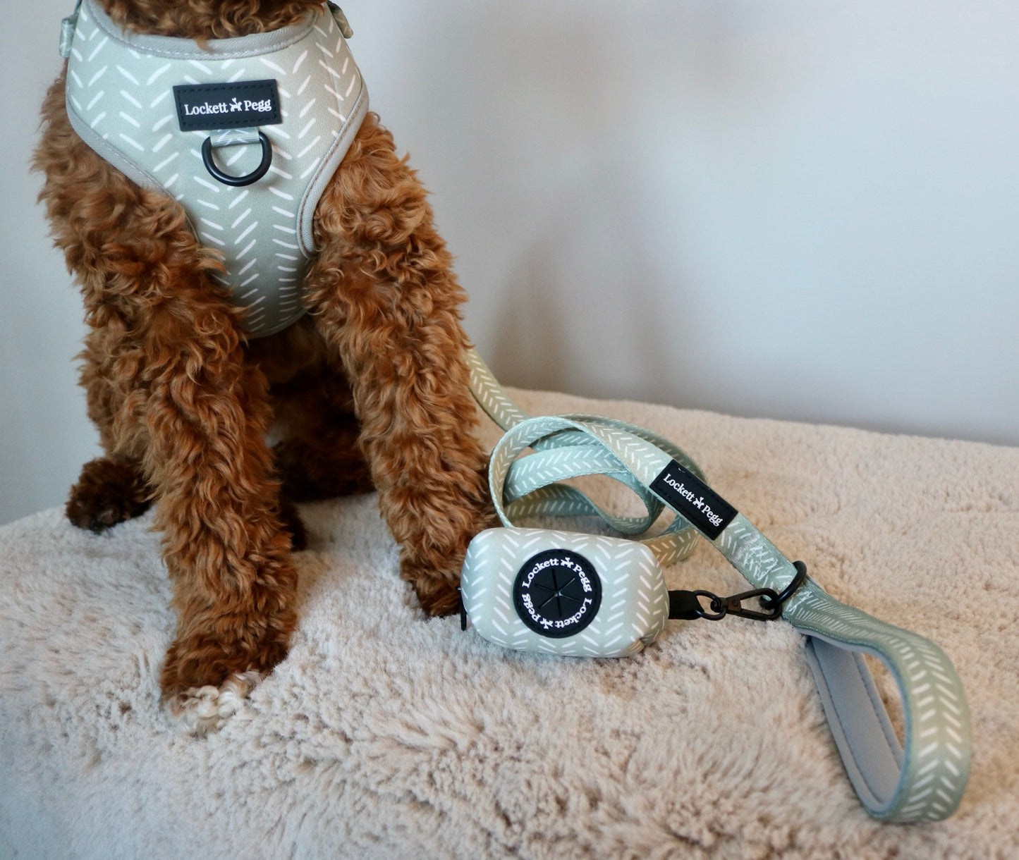 Sage Sprinkles - Adjustable Harness