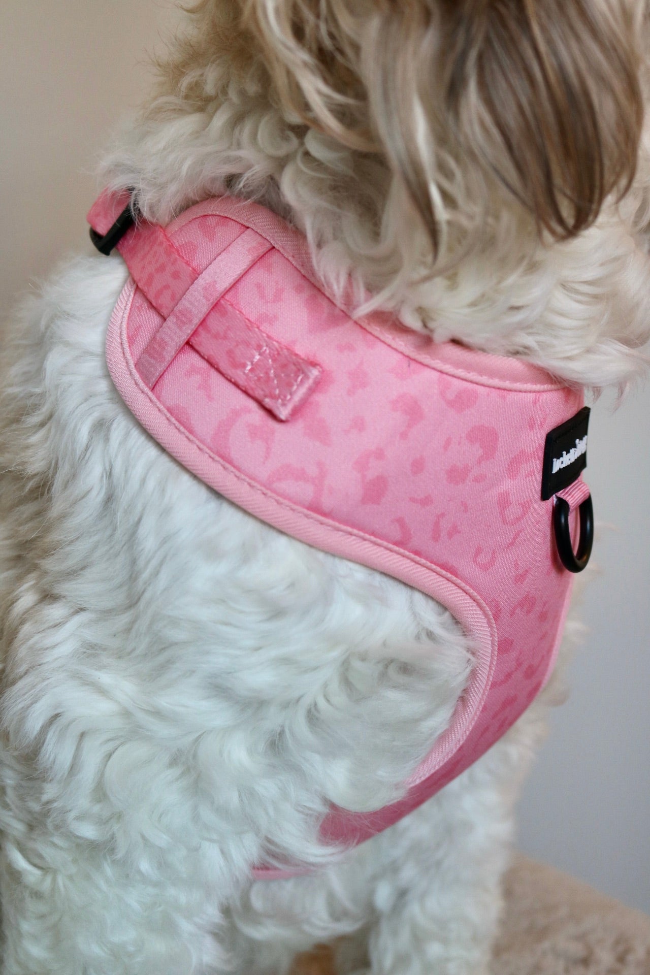 Pawfect Pink - Adjustable Harness