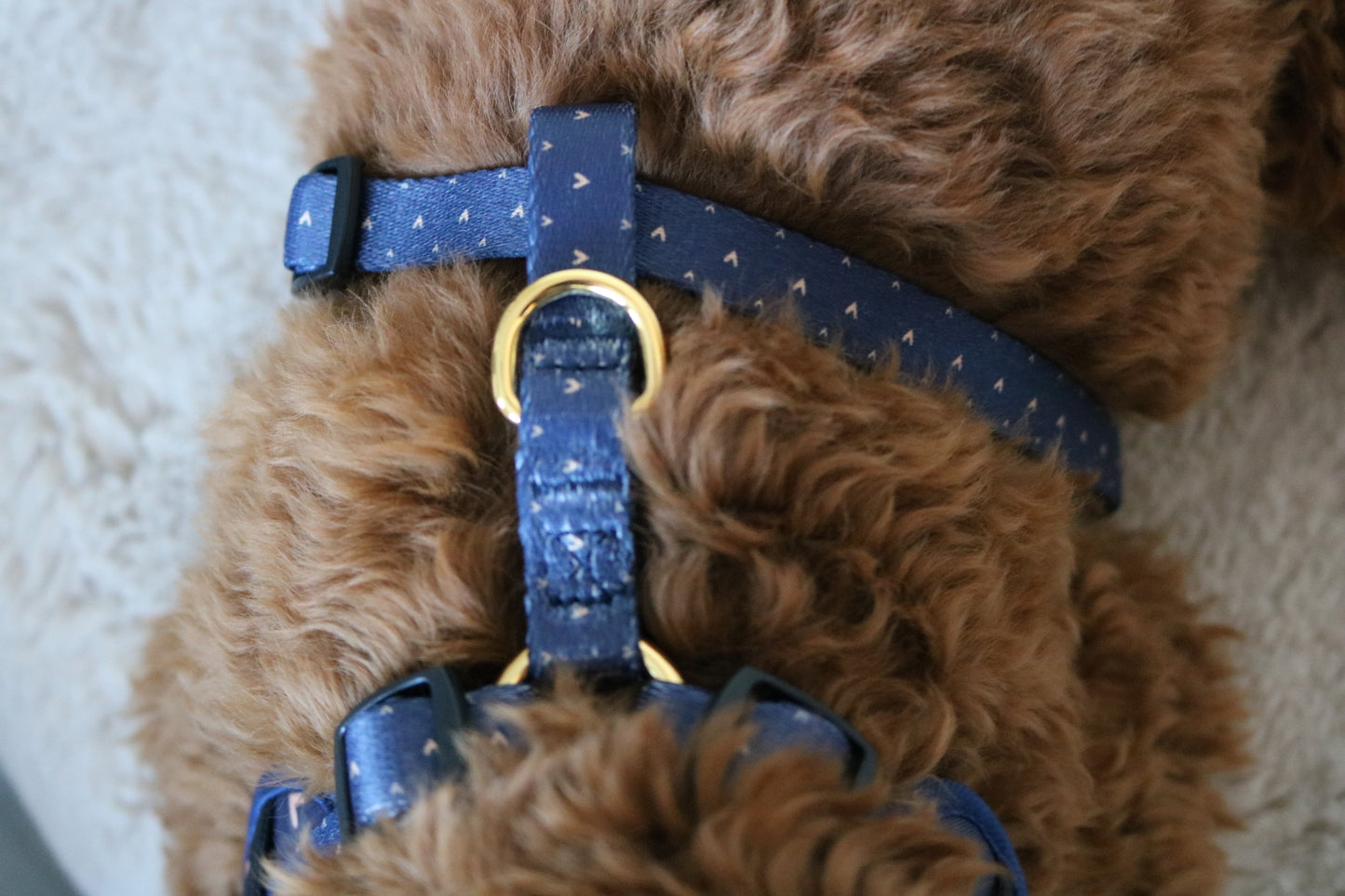 Navy Hearts of Gold - Adjustable Harness