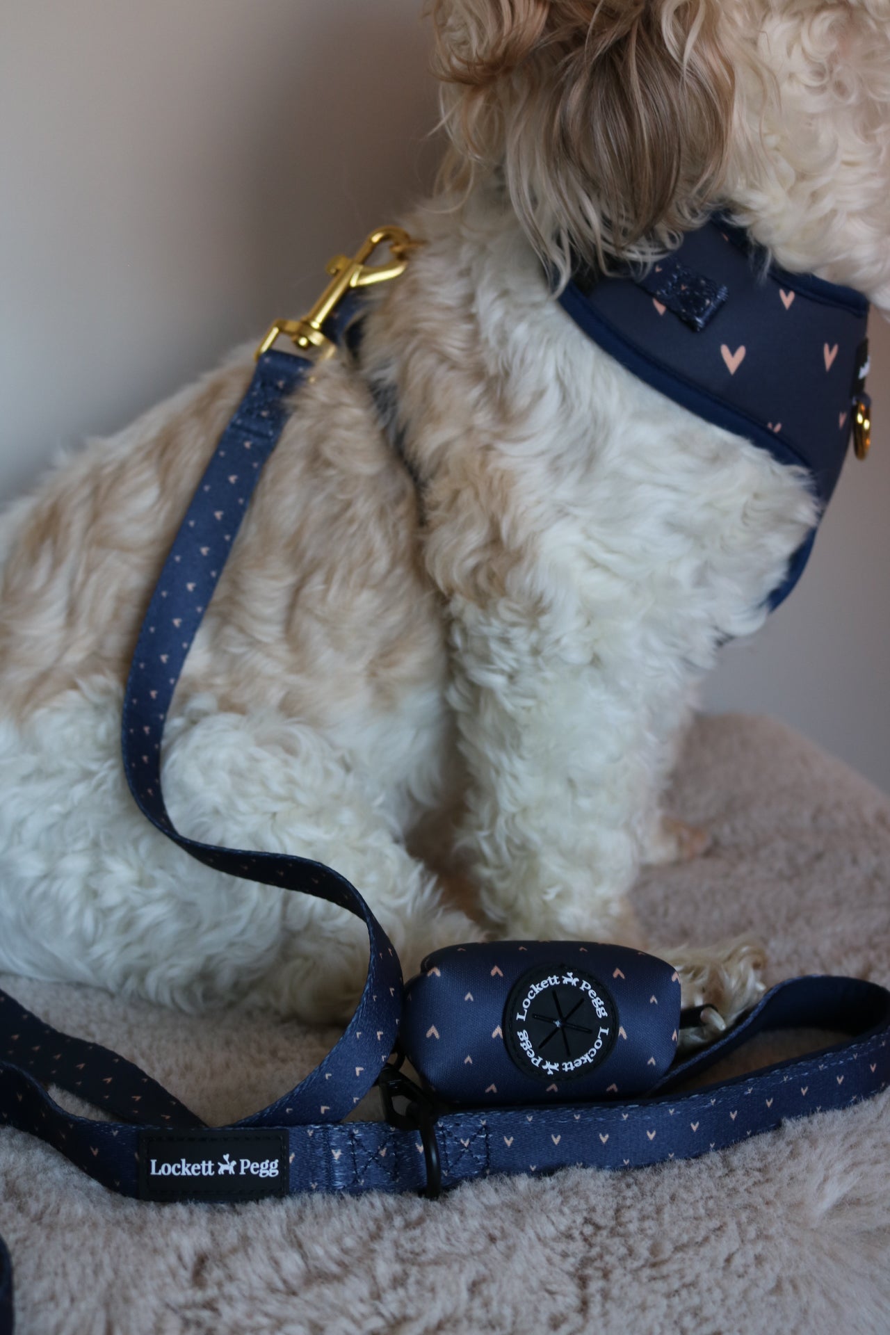 Navy Hearts of Gold - Adjustable Harness