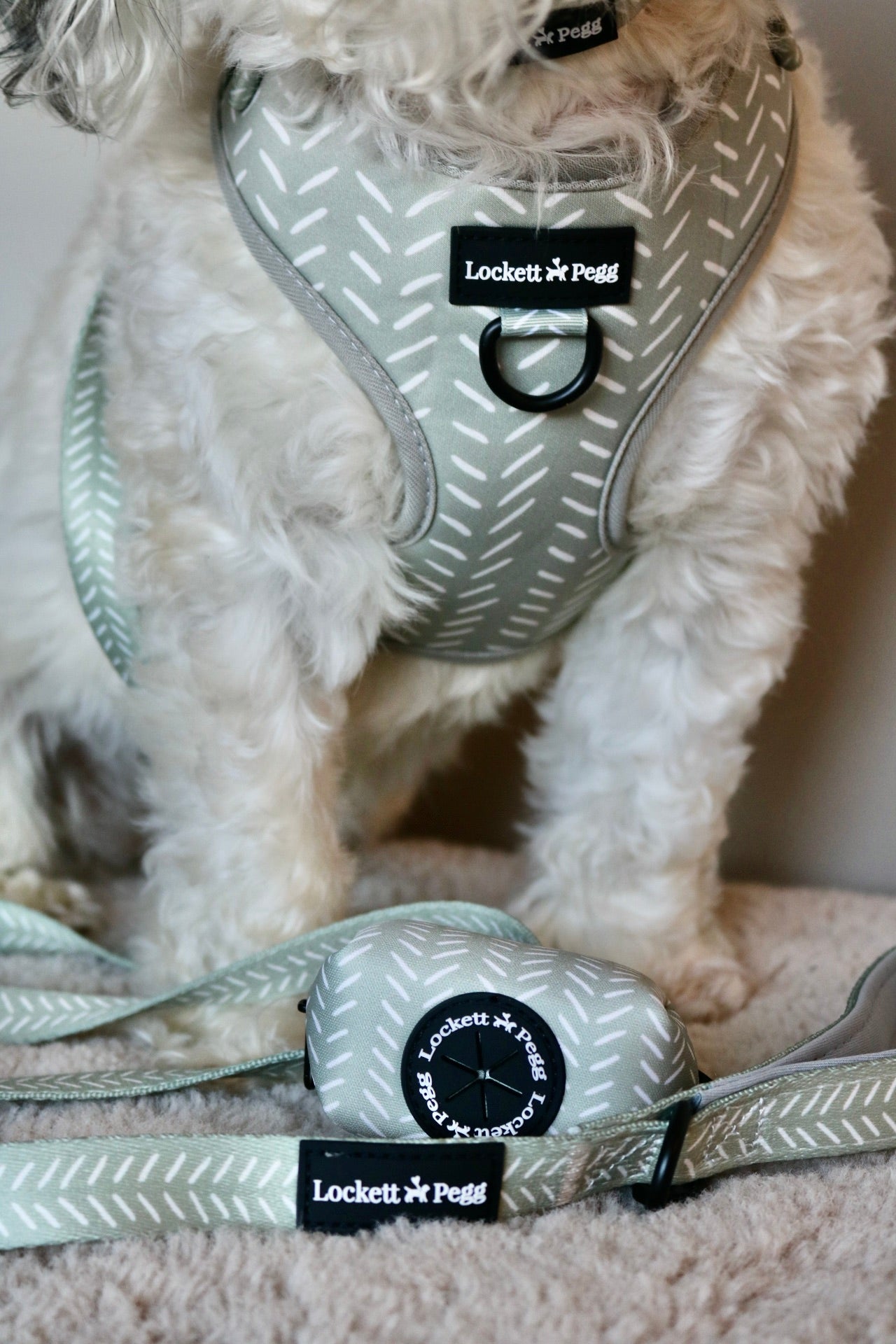Sage Sprinkles - Adjustable Harness