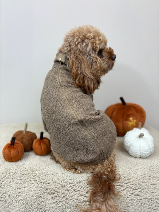 Beige - Dog roll neck sherpa jumper with zip