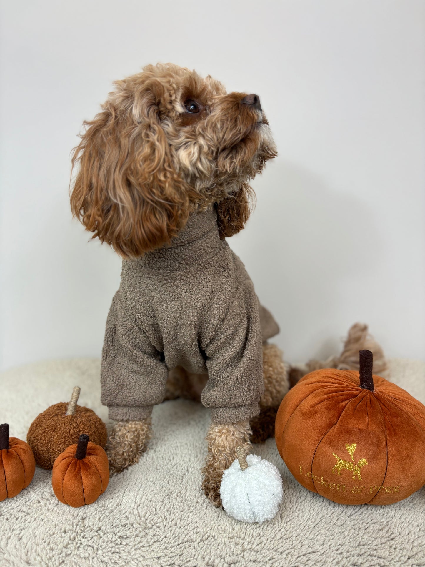 Beige - Dog roll neck sherpa jumper with zip