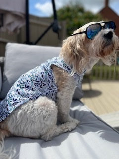 Botanical Blossom Dog Cooling Vests