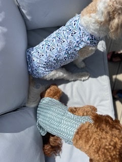 Sage Sprinkles Dog Cooling Vests