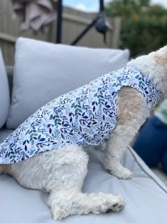 Botanical Blossom Dog Cooling Vests