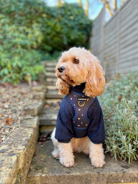 Navy - Dog roll neck sherpa jumper with zip