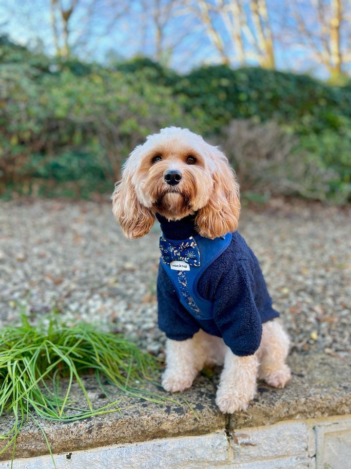 Navy - Dog roll neck sherpa jumper with zip