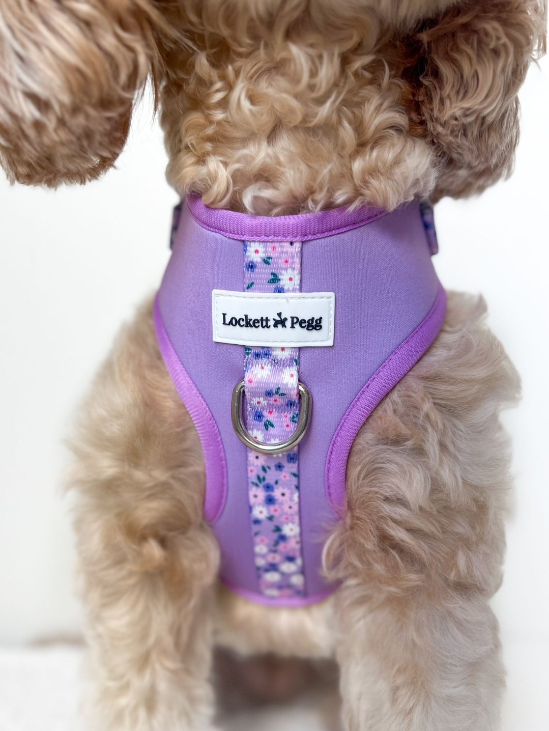 Lilac Ditsy Daisy adjustable Harness