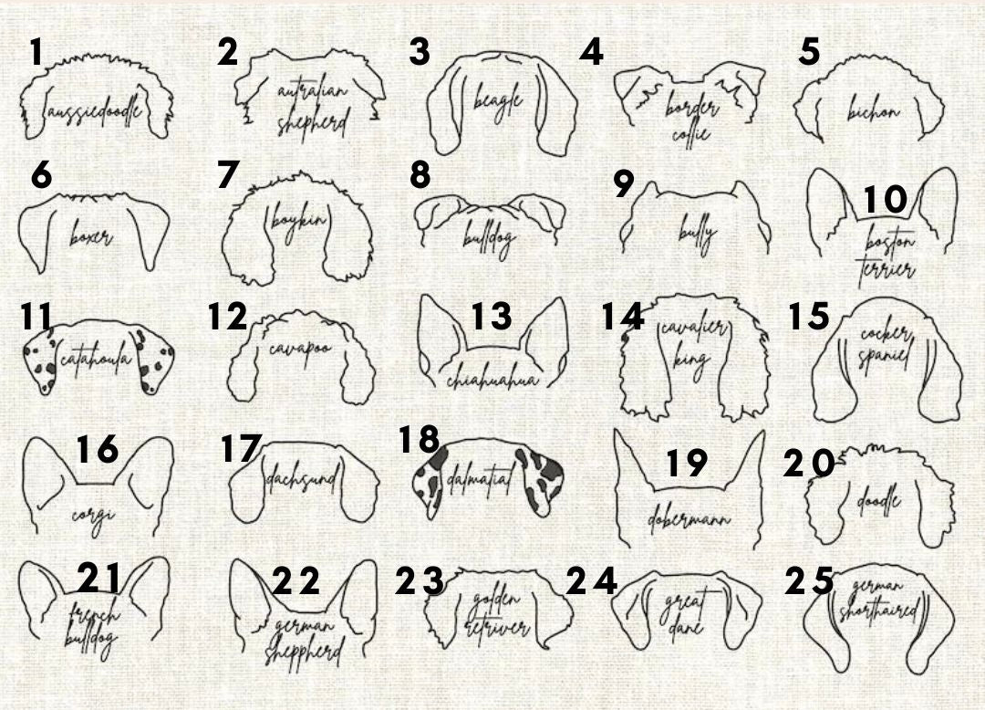 Pink Dog mama and breed specific backpack