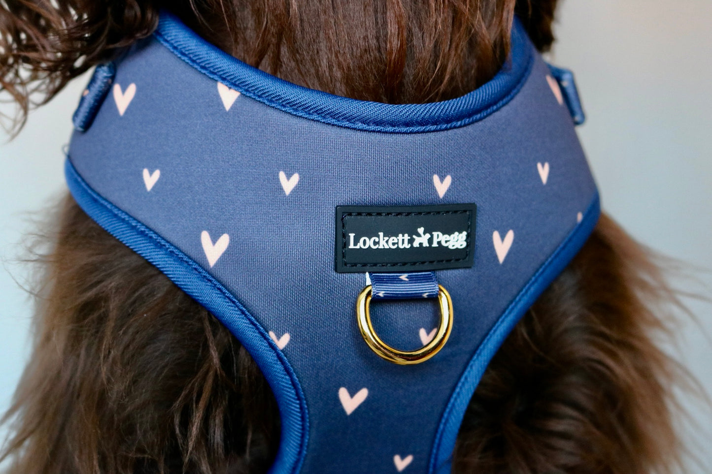 Navy Hearts of Gold - Adjustable Harness