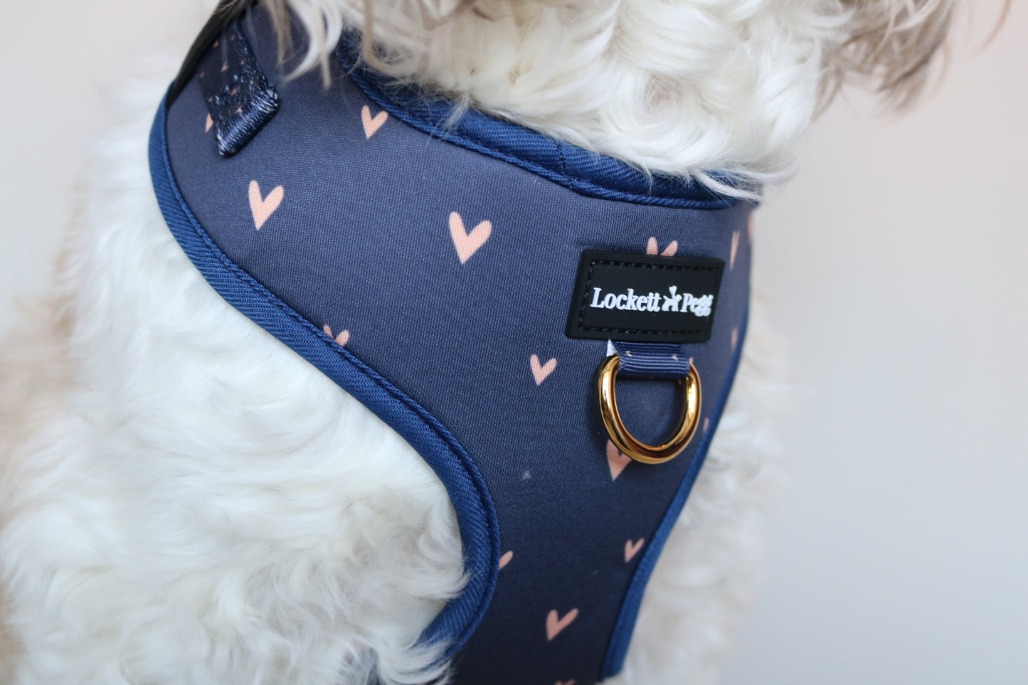 Navy Hearts of Gold - Adjustable Harness