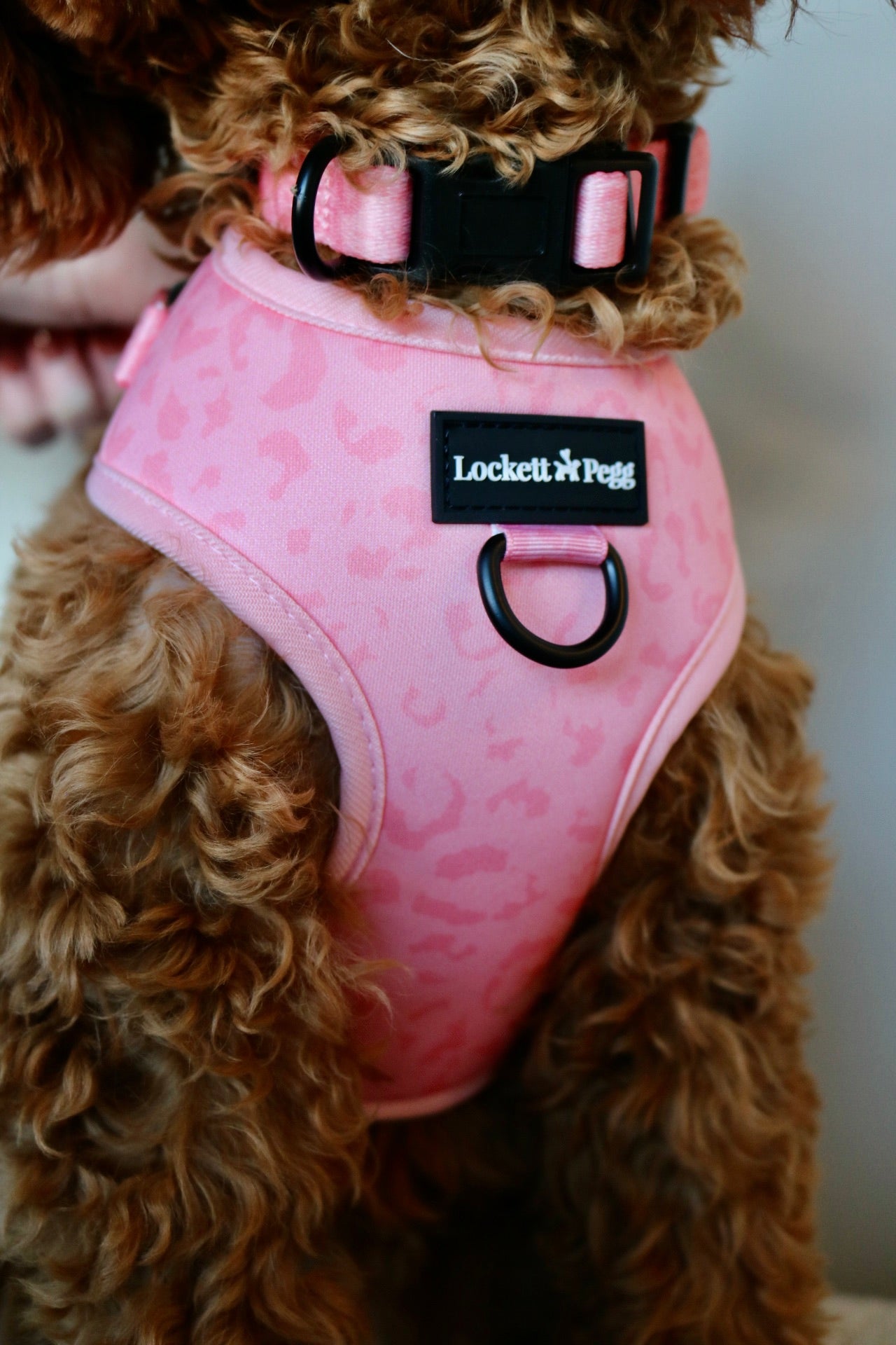 Pink store puppy harness