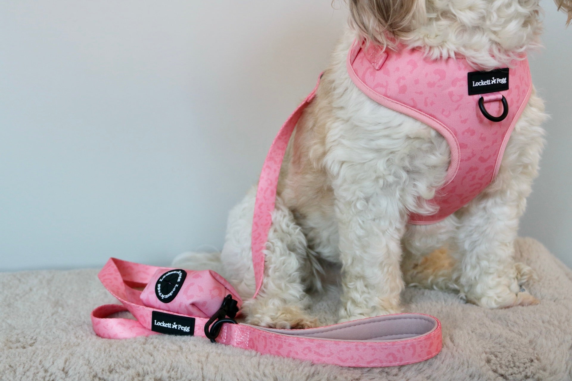 Pink 2024 puppy accessories