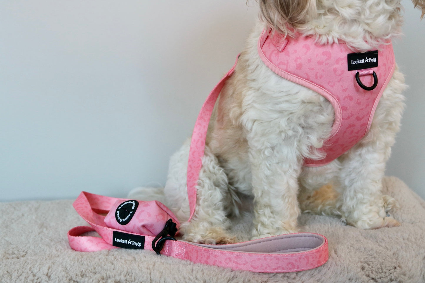Pawfect Pink - Lead