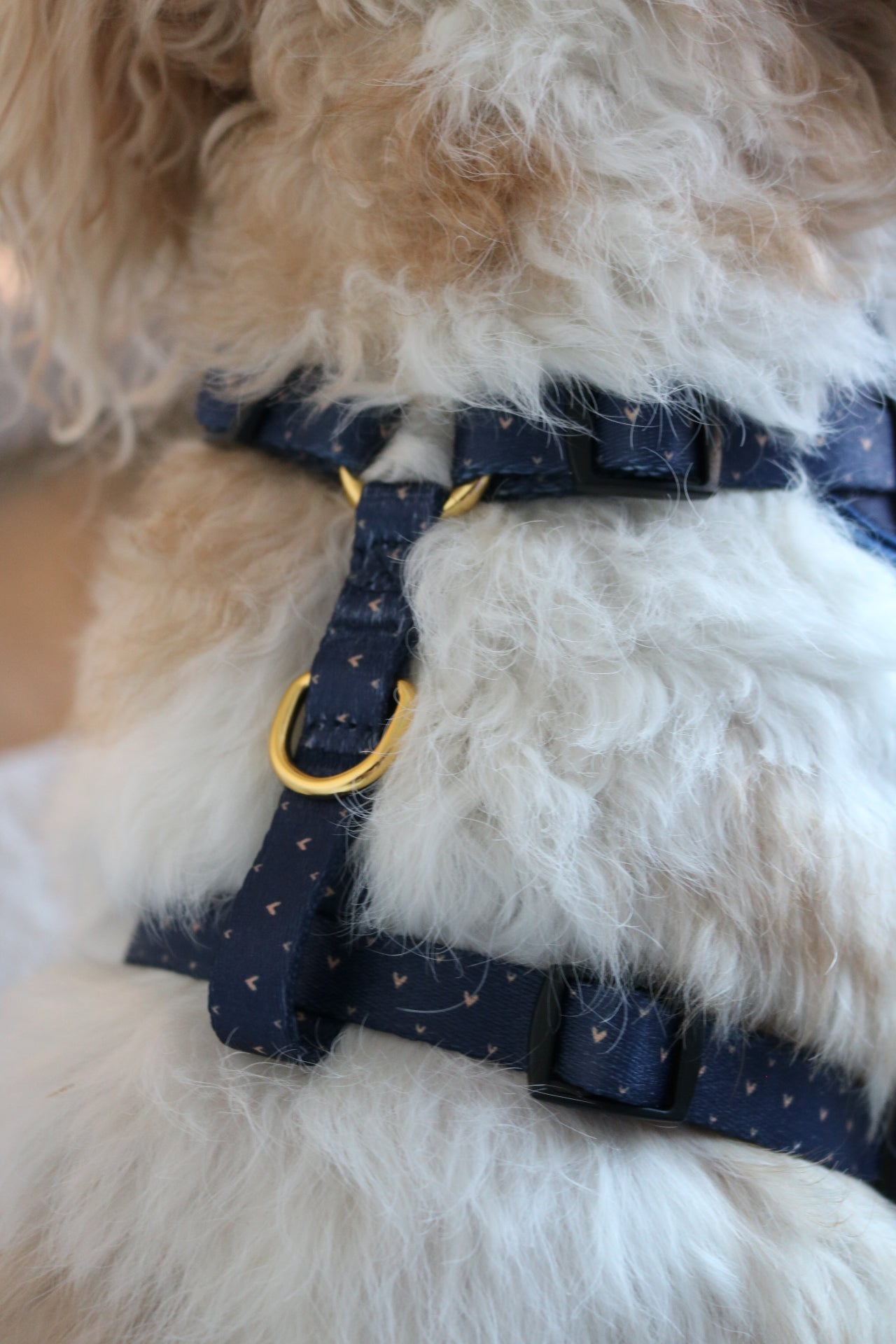 Navy Hearts of Gold - Adjustable Harness